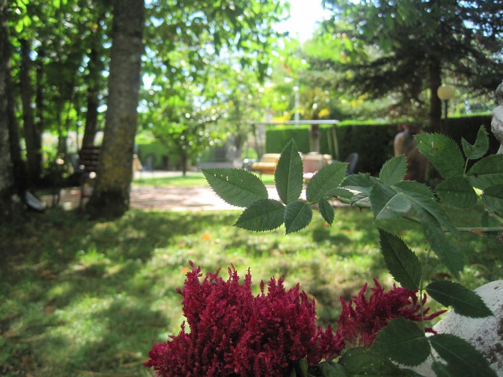 Hotel Gioia Garden Фиджи Экстерьер фото